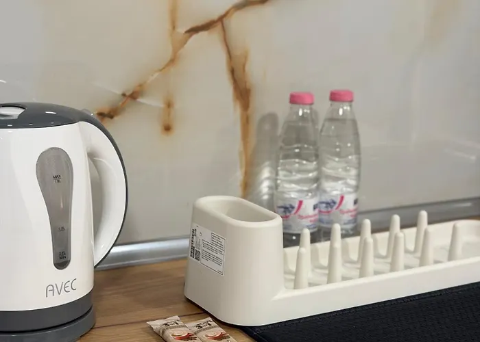 Botev Minihub Hub 2 Modern At Botev 88 公寓 索菲亞